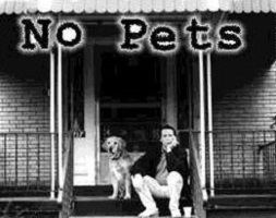 No pets