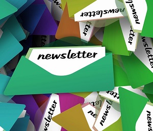 <strong>Newsletter</strong>